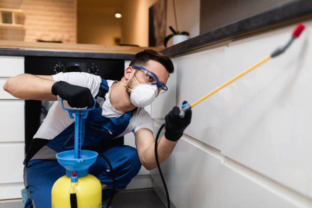 Best Affordable Pest Control Services  in St David, AZ