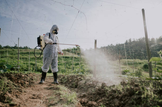 Best Commercial Pest Control Services  in St David, AZ