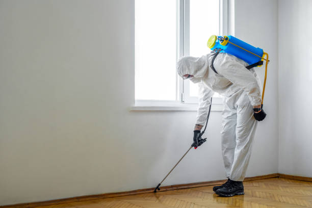 Best Best Pest Control Near Me  in St David, AZ