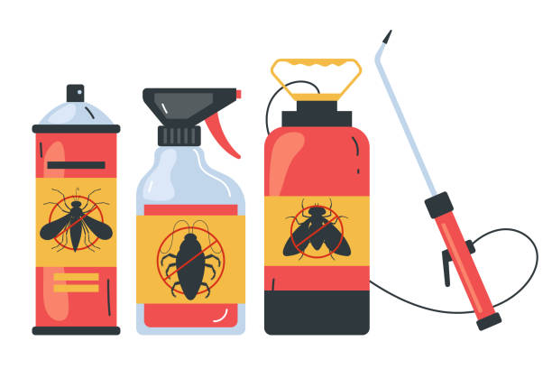 Best Ant Control Services  in St David, AZ